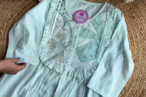 Elegant Organza Embroidered Suit in Pink & Pista – A Subtle Statement of Sophistication