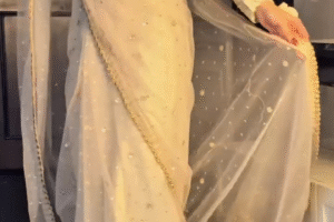 ✨ Golden Glow: The Starry Ivory Saree ✨