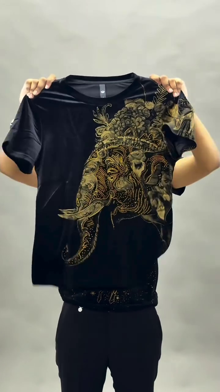 Power Statement: Bold Lion Graphic Tee with Luxe Appeal - Image 5